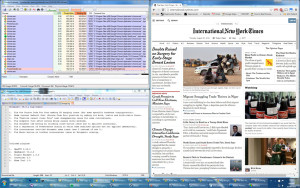A typical window layout